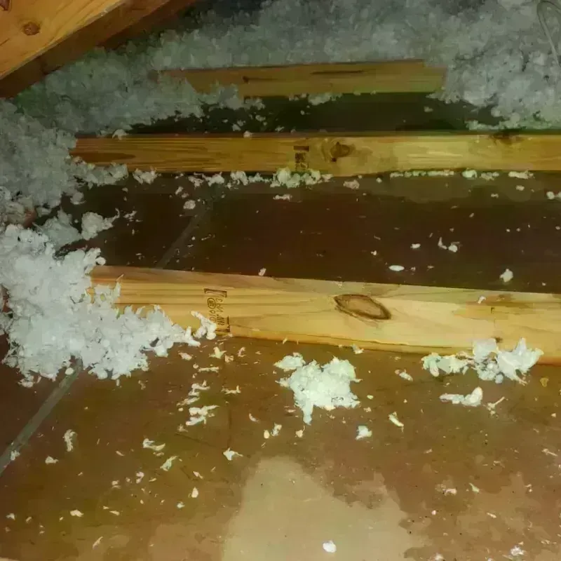 Attic Water Damage in Ashville, OH