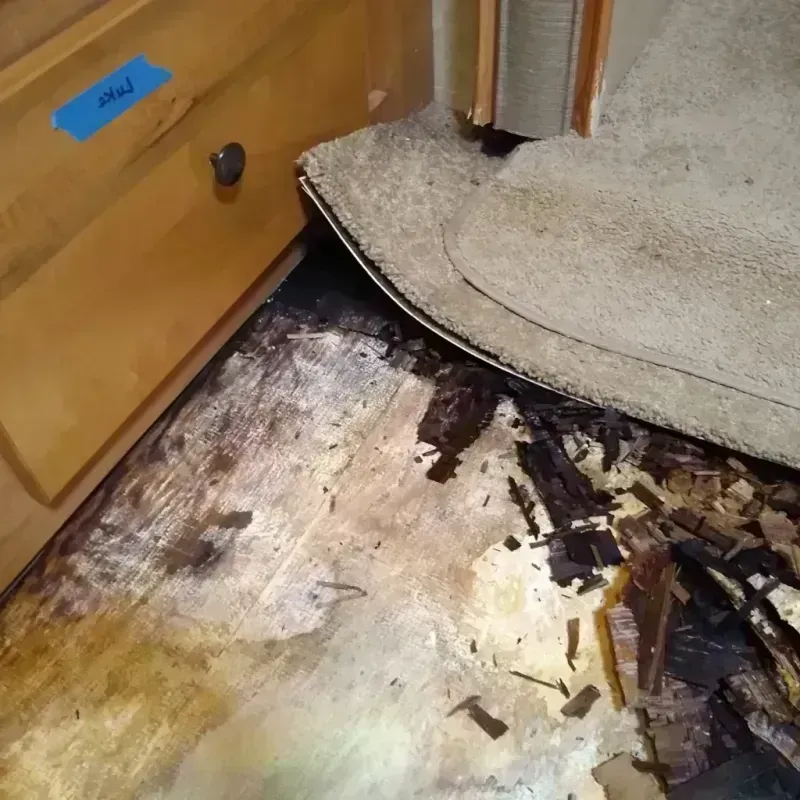 Wood Floor Water Damage in Ashville, OH